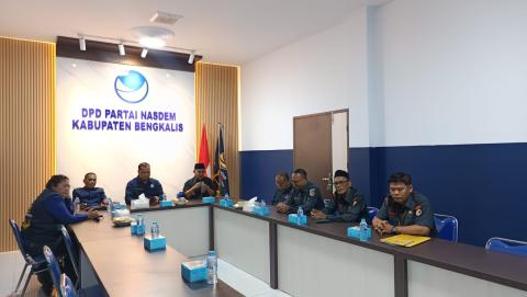 nasdem